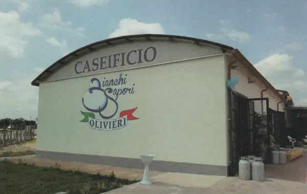 2p Casearia Srl foto 4