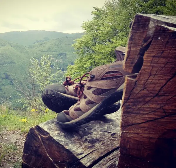 Agriturismo I Taufi foto 2