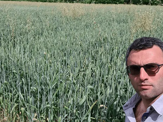 Azienda Agricola Cioffi Di Gaetano Iemma foto 3
