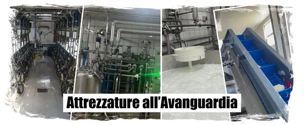 Caseificio La Regina Dei Mazzoni S.r.l. foto 2