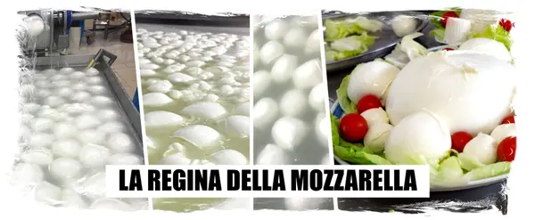 Caseificio La Regina Dei Mazzoni S.r.l. foto 5