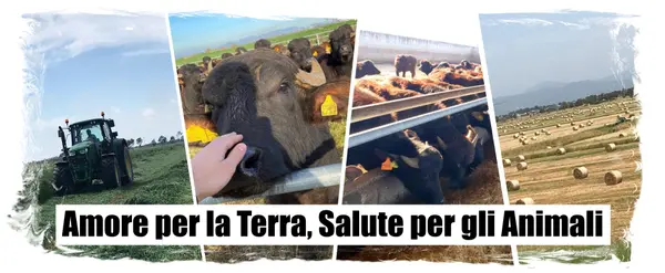 Caseificio La Regina Dei Mazzoni S.r.l. foto 3