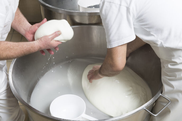 Lavorazione della mozzarella di bufala al Caseificio Giuseppe Morese