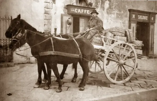 Caseificio Petrella S.r.l. foto 2
