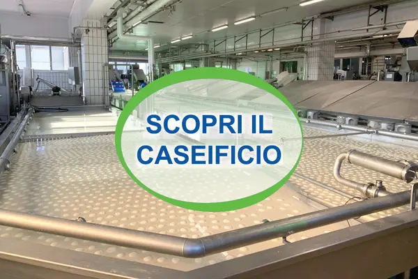 Icca Spa foto 5