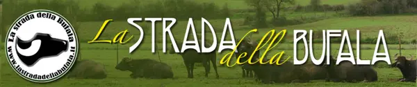 Nuova Casearia Dell'agro Pontino Srl foto 1